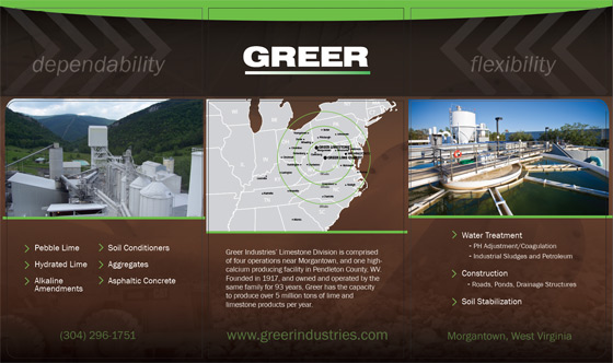 Greer Lime print design