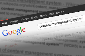 Websites with Content Management Systems